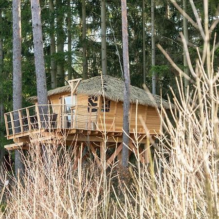 Treehouse U Rybnika Hotel Osecna ภายนอก รูปภาพ