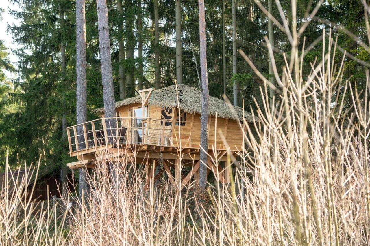 Treehouse U Rybnika Hotel Osecna ภายนอก รูปภาพ