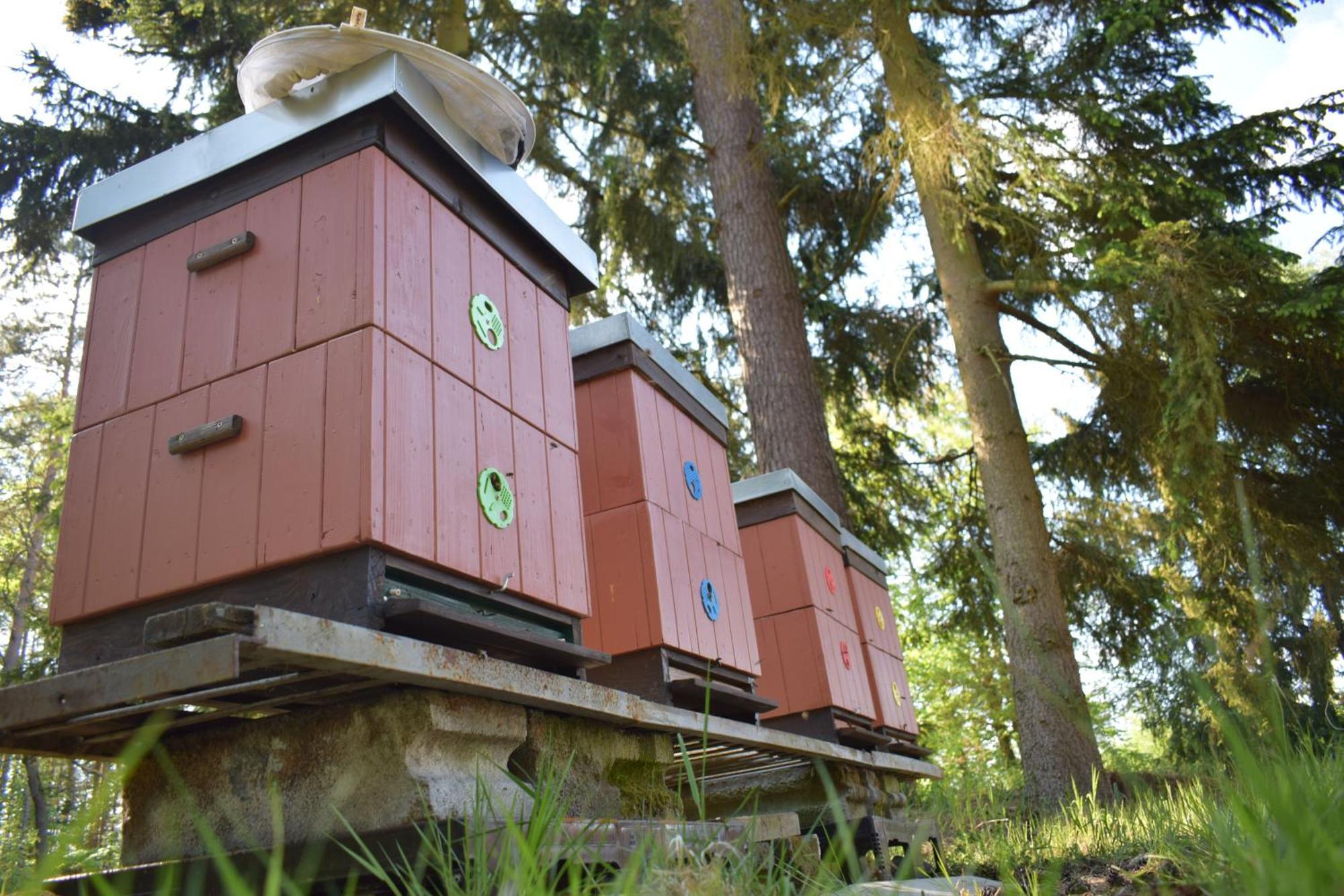 Treehouse U Rybnika Hotel Osecna ภายนอก รูปภาพ